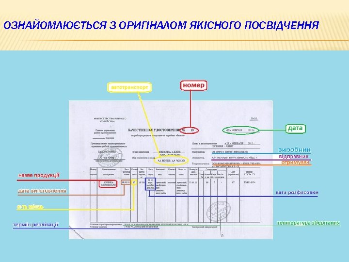 ОЗНАЙОМЛЮЄТЬСЯ З ОРИГІНАЛОМ ЯКІСНОГО ПОСВІДЧЕННЯ 20 