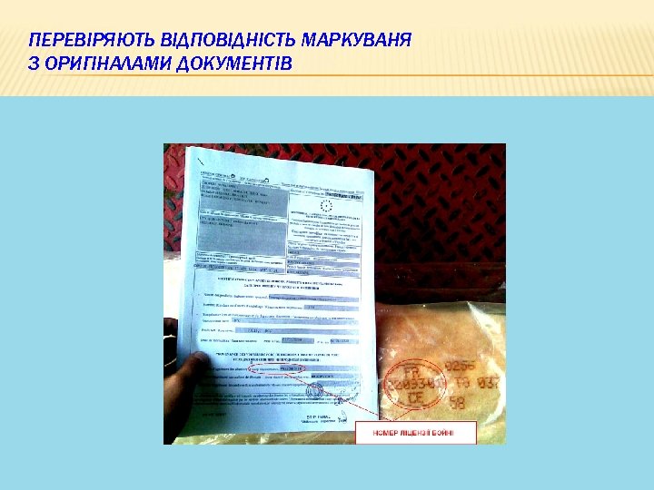 ПЕРЕВІРЯЮТЬ ВІДПОВІДНІСТЬ МАРКУВАНЯ З ОРИГІНАЛАМИ ДОКУМЕНТІВ 21 