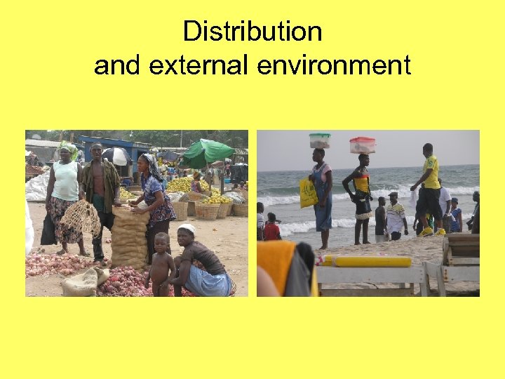 Distribution and external environment 