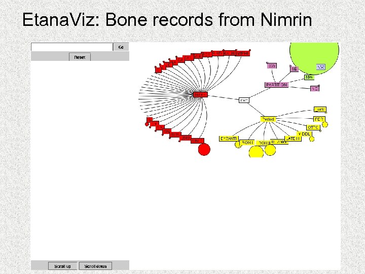 Etana. Viz: Bone records from Nimrin 