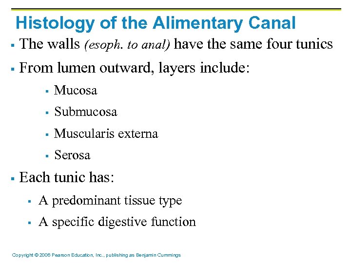 Histology of the Alimentary Canal § The walls (esoph. to anal) have the same