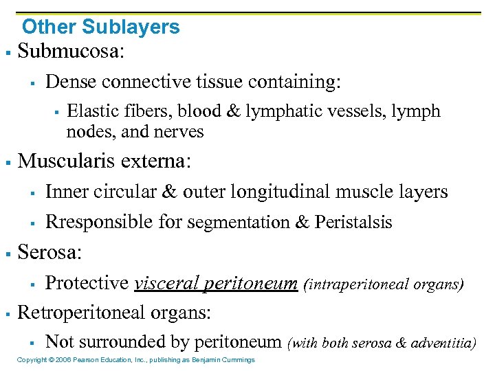 Other Sublayers § Submucosa: § Dense connective tissue containing: § § Elastic fibers, blood