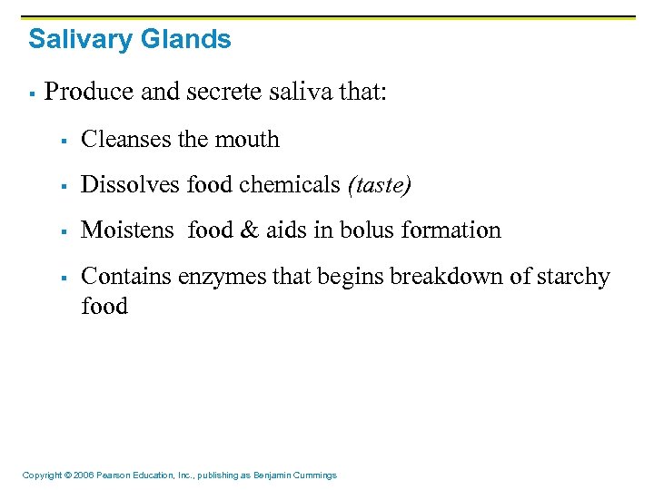 Salivary Glands § Produce and secrete saliva that: § Cleanses the mouth § Dissolves