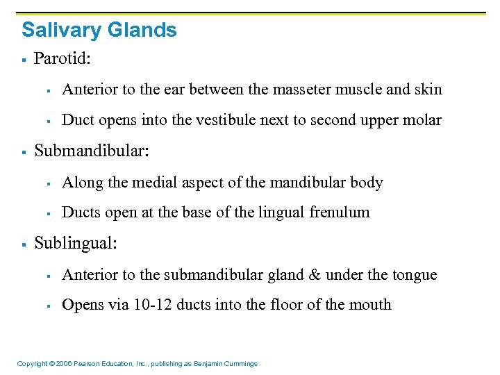 Salivary Glands § Parotid: § § § Anterior to the ear between the masseter