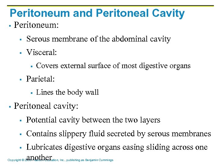 Peritoneum and Peritoneal Cavity § Peritoneum: § Serous membrane of the abdominal cavity §