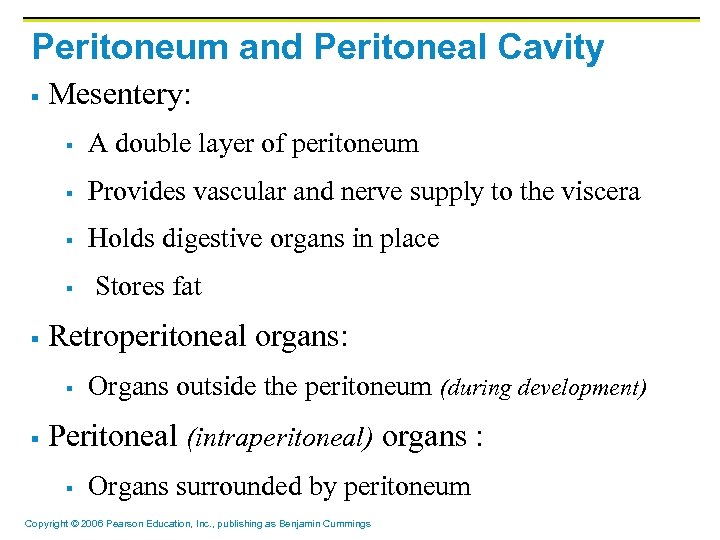 Peritoneum and Peritoneal Cavity § Mesentery: § A double layer of peritoneum § Provides