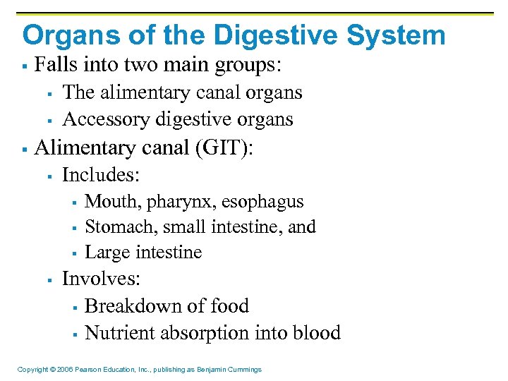 Organs of the Digestive System § Falls into two main groups: § § §