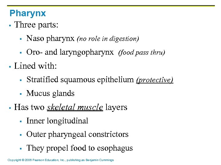 Pharynx § Three parts: § § § Naso pharynx (no role in digestion) Oro-