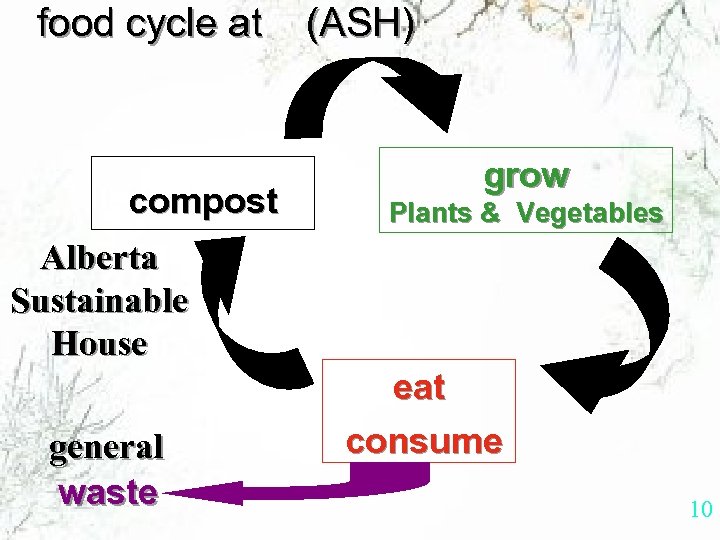 food cycle at compost (ASH) grow Plants & Vegetables Alberta Sustainable House general waste