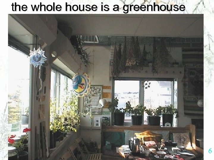 the whole house is a greenhouse 6 