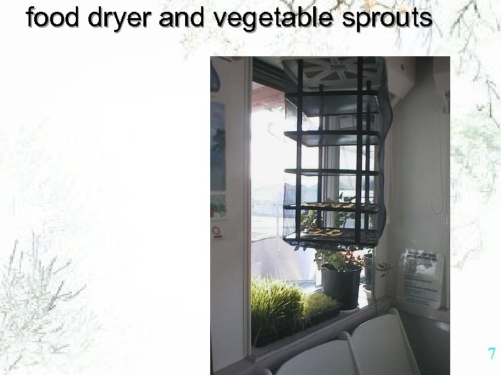 food dryer and vegetable sprouts 7 