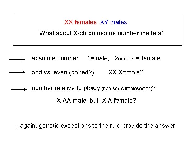 XX females XY males What about X-chromosome number matters? absolute number: 1=male, 2 or