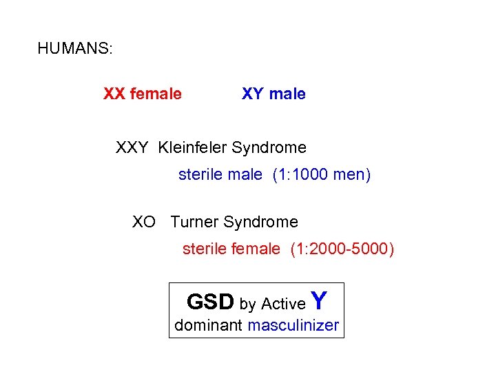 HUMANS: XX female XY male XXY Kleinfeler Syndrome sterile male (1: 1000 men) XO
