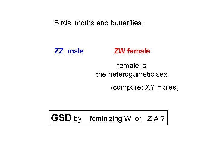 Birds, moths and butterflies: ZZ male ZW female is the heterogametic sex (compare: XY