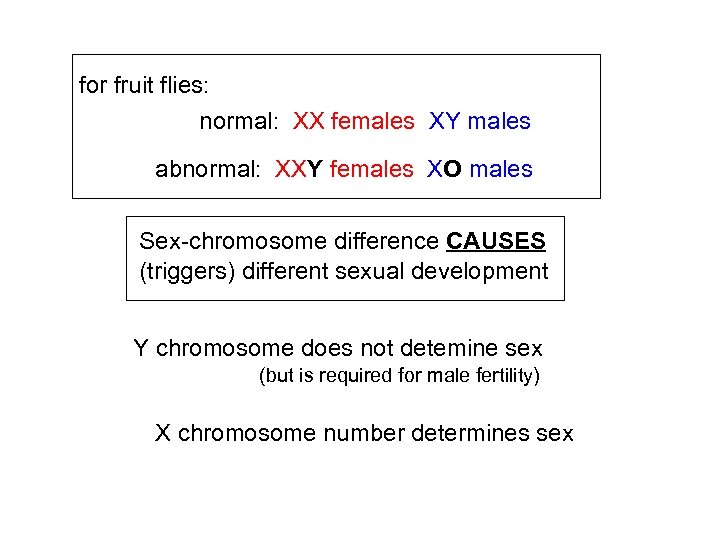 for fruit flies: normal: XX females XY males abnormal: XXY females XO males Sex-chromosome