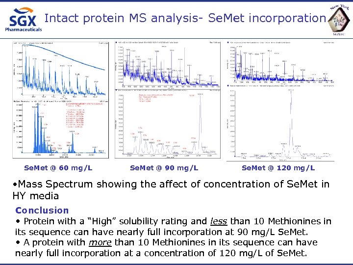 Intact protein MS analysis- Se. Met incorporation Se. Met @ 60 mg/L Se. Met