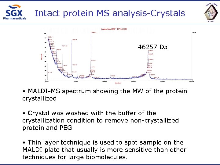 Intact protein MS analysis-Crystals 46257 Da • MALDI-MS spectrum showing the MW of the