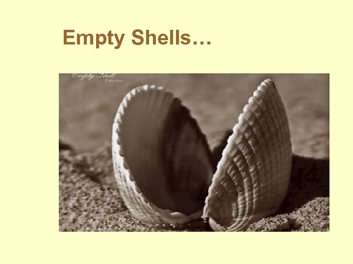 Empty Shells… 