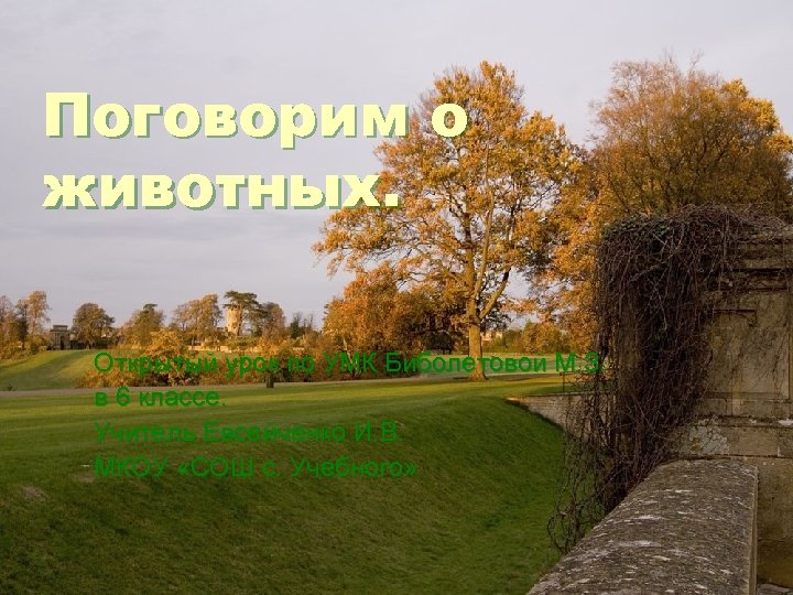 Поговорим о животных. Открытый урок по УМК Биболетовой М. З. в 6 классе. Учитель