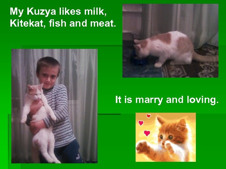 My Kuzya likes milk, Kitekat, fish and meat. It is marry and loving. 