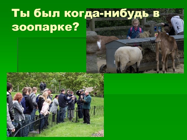 Ты был когда-нибудь в зоопарке? 