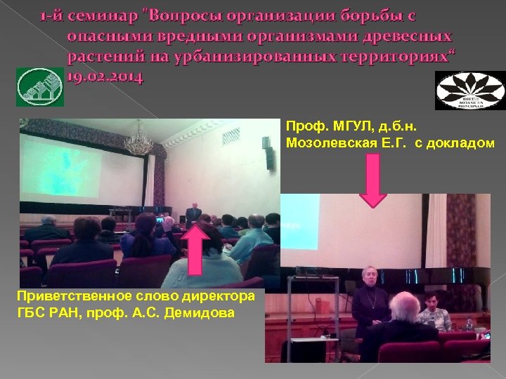 1 -й семинар "Вопросы организации борьбы с опасными вредными организмами древесных растений на урбанизированных