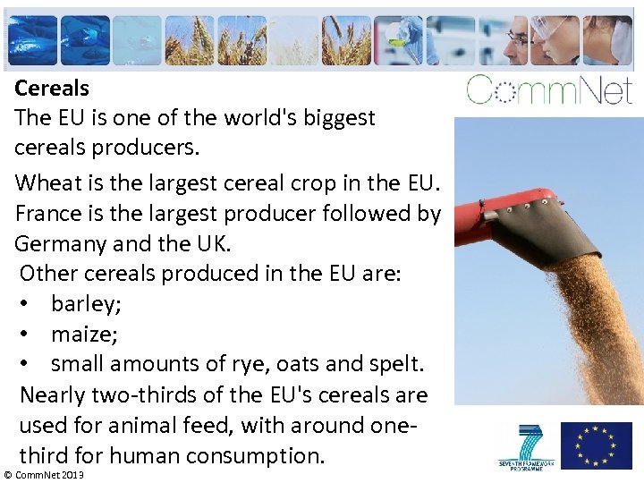 Cereals The EU is one of the world's biggest cereals producers. Wheat is the