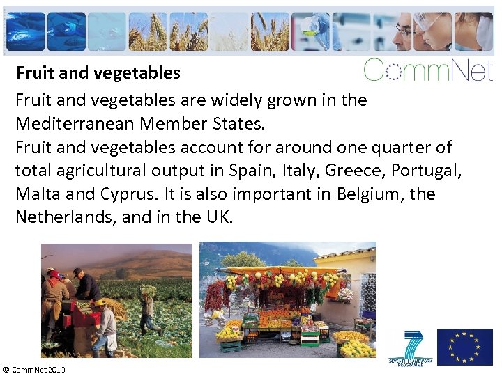 Fruit and vegetables are widely grown in the Mediterranean Member States. Fruit and vegetables