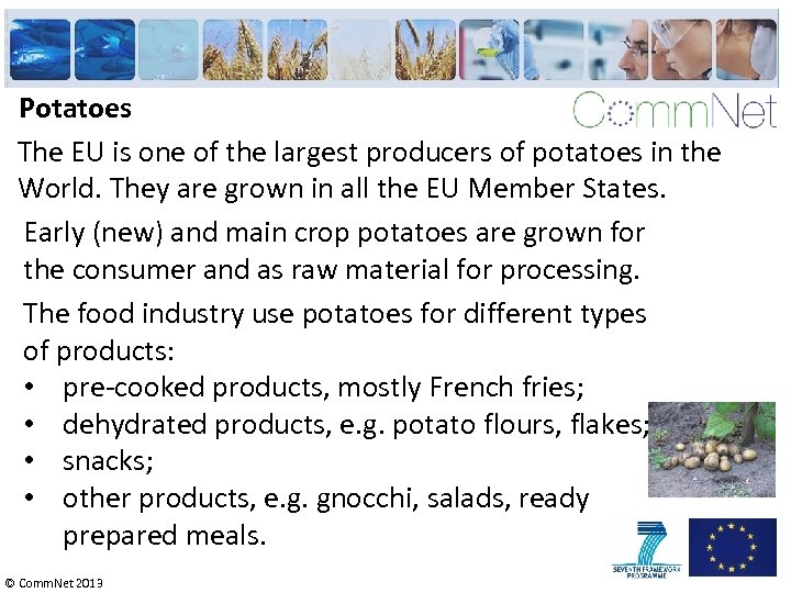 Potatoes The EU is one of the largest producers of potatoes in the World.