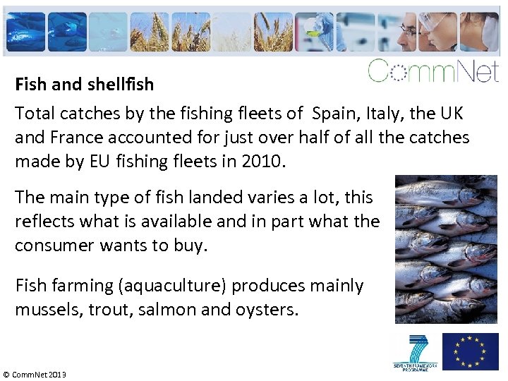 Fish and shellfish Total catches by the fishing fleets of Spain, Italy, the UK