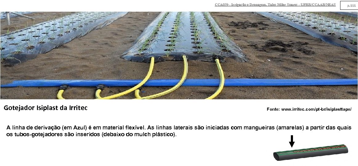 CCA 039 - Irrigação e Drenagem. Tales Miler Soares - UFRB/CCAAB/NEAS Gotejador Isiplast da