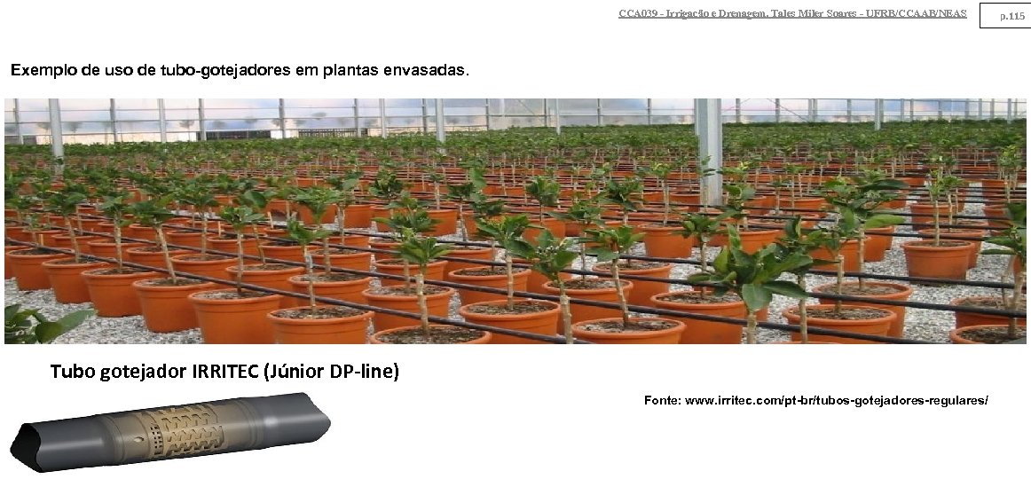 CCA 039 - Irrigação e Drenagem. Tales Miler Soares - UFRB/CCAAB/NEAS Exemplo de uso