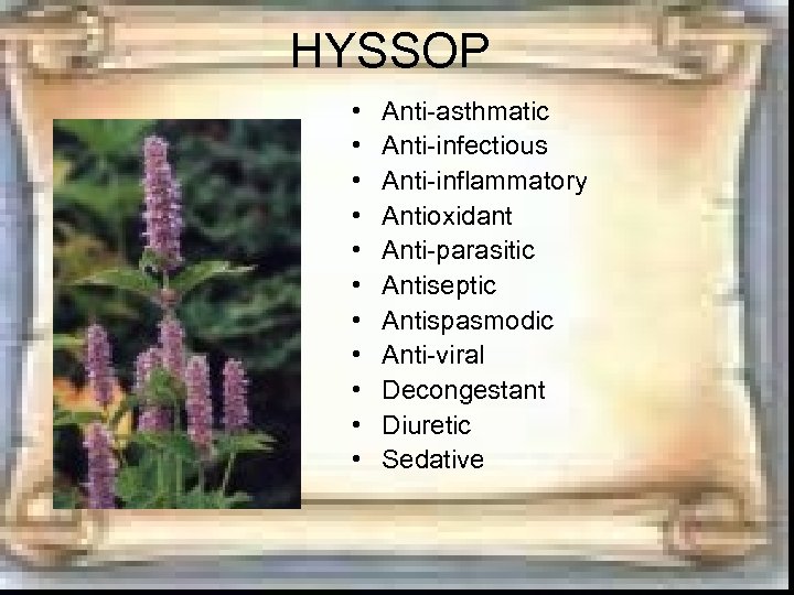 HYSSOP • • • Anti-asthmatic Anti-infectious Anti-inflammatory Antioxidant Anti-parasitic Antiseptic Antispasmodic Anti-viral Decongestant Diuretic