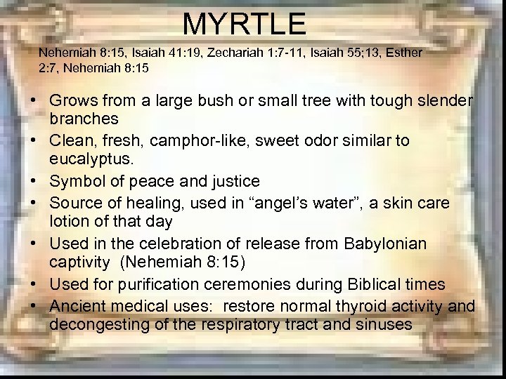 MYRTLE Nehemiah 8: 15, Isaiah 41: 19, Zechariah 1: 7 -11, Isaiah 55; 13,