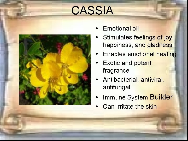 CASSIA • Emotional oil • Stimulates feelings of joy, happiness, and gladness • Enables