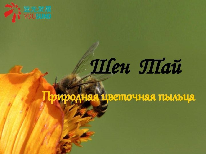 Шен Тай Природная цветочная пыльца 