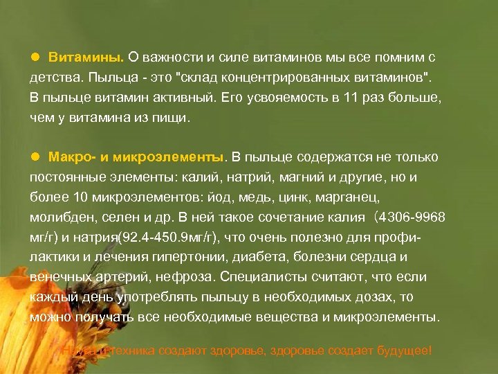 l Витамины. О важности и силе витаминов мы все помним с детства. Пыльца -