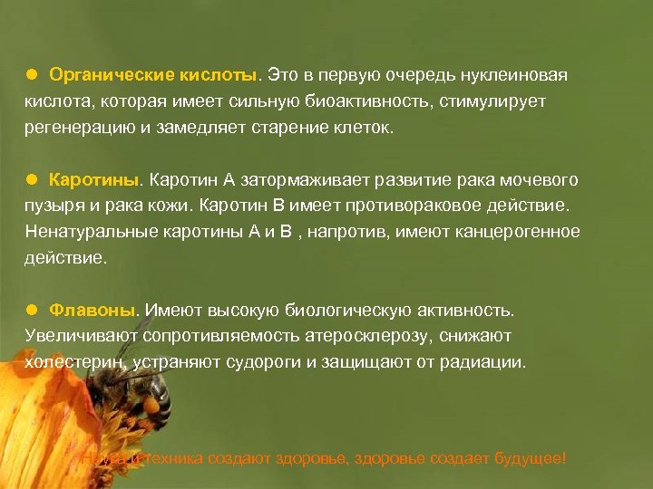 l Органические кислоты. Это в первую очередь нуклеиновая кислота, которая имеет сильную биоактивность, стимулирует