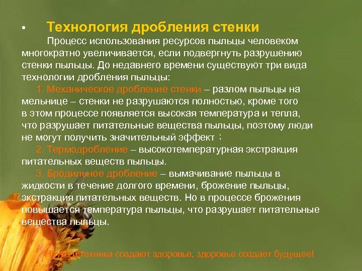  • 　Технология дробления стенки　　 Процесс использования ресурсов пыльцы человеком многократно увеличивается, если подвергнуть