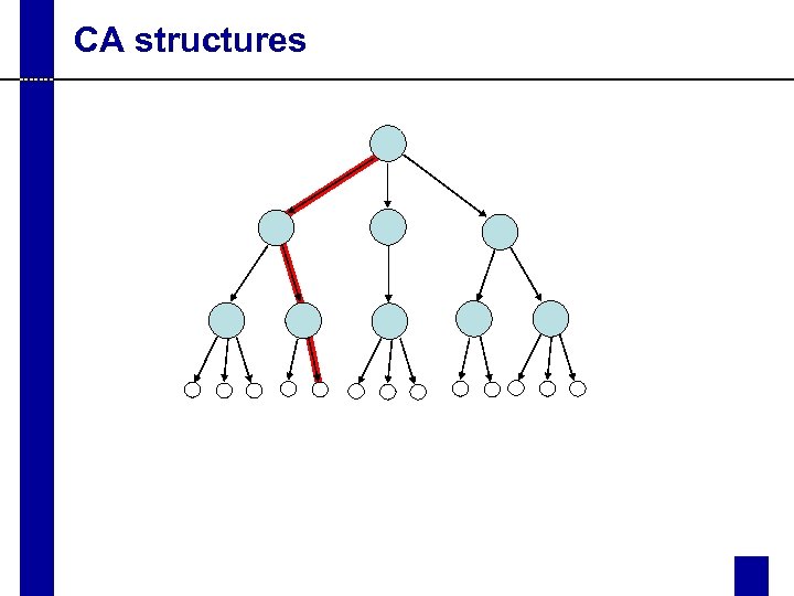 CA structures 
