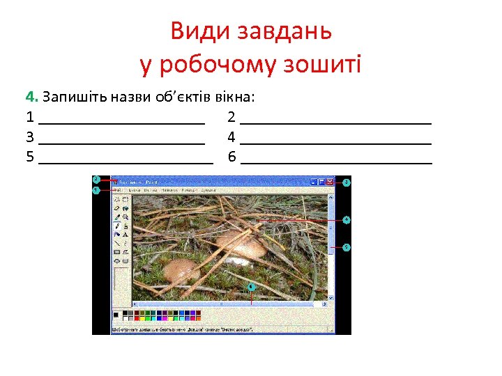 Види завдань у робочому зошиті 4. Запишіть назви об’єктів вікна: 1 __________ 2 ____________