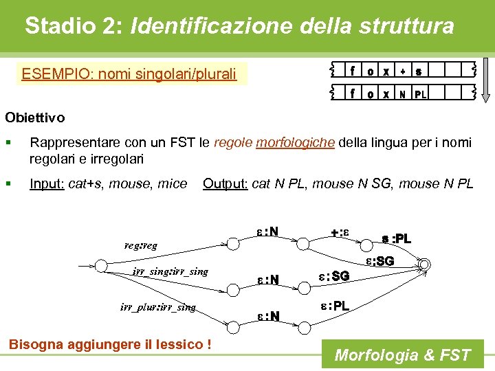 Stadio 2: Identificazione della struttura ESEMPIO: nomi singolari/plurali Obiettivo § Rappresentare con un FST