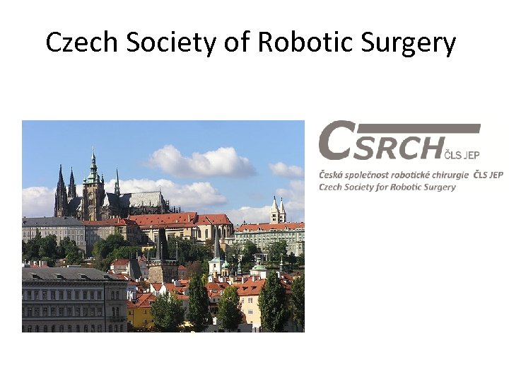 Czech Society of Robotic Surgery 