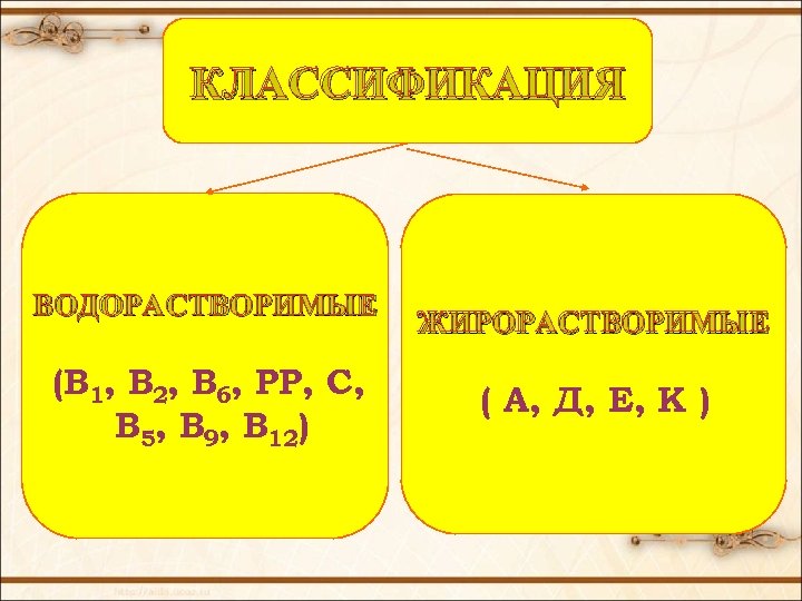 КЛАССИФИКАЦИЯ ВОДОРАСТВОРИМЫЕ (В 1, В 2, В 6, РР, С, В 5, В 9,
