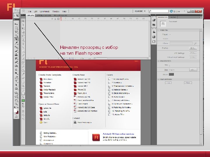 Начален прозорец с избор на тип Flash проект 