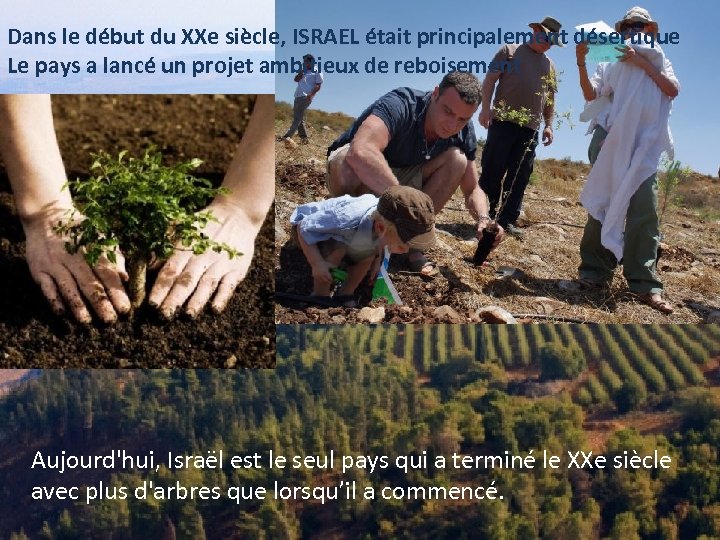 Dans le début du XXe siècle, ISRAEL était principalement désertique Le pays a lancé