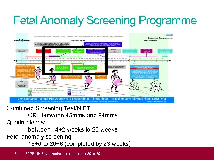 Fetal Anomaly Screening Programme Combined Screening Test/NIPT CRL between 45 mms and 84 mms