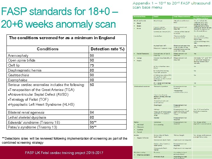 FASP standards for 18+0 – 20+6 weeks anomaly scan The conditions screened for as