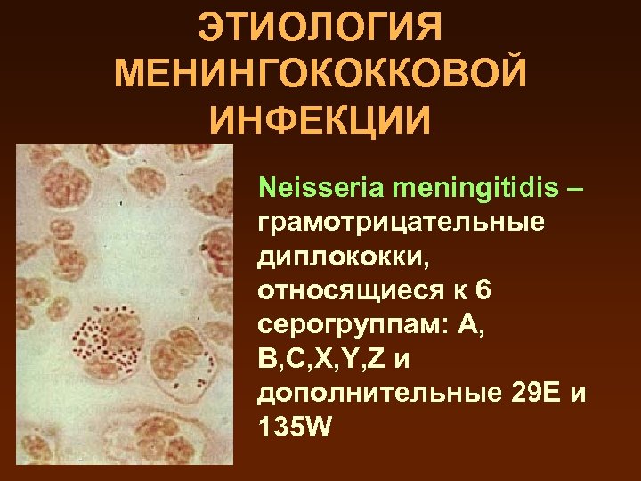 План ухода при менингококковой инфекции