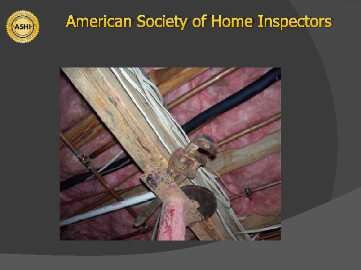 American Society of Home Inspectors 